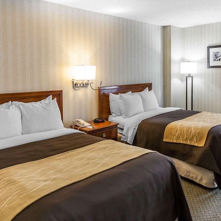Comfort Inn Pentagon City Arlington Bagian luar foto